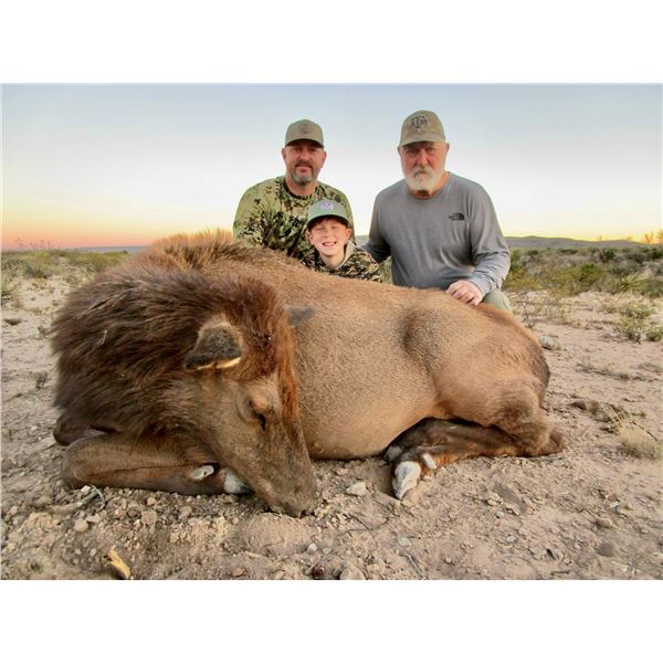 WILDLIFE SYSTEMS, INC.: West Texas Free-Range Cow Elk Hunt for Two Hunters