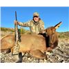 Image 7 : WILDLIFE SYSTEMS, INC.: West Texas Free-Range Cow Elk Hunt for Two Hunters