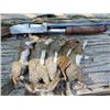 Image 4 : CONSERVATION EQUITY PARTNERS & THE ANDERSON FAMILY: Traditional East Texas Hunt for Two