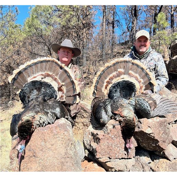 WHEATON CREEK RANCH: New Mexico Merriam Turkey Hunt for Two