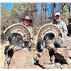 Image 1 : WHEATON CREEK RANCH: New Mexico Merriam Turkey Hunt for Two