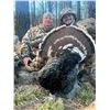Image 3 : WHEATON CREEK RANCH: New Mexico Merriam Turkey Hunt for Two