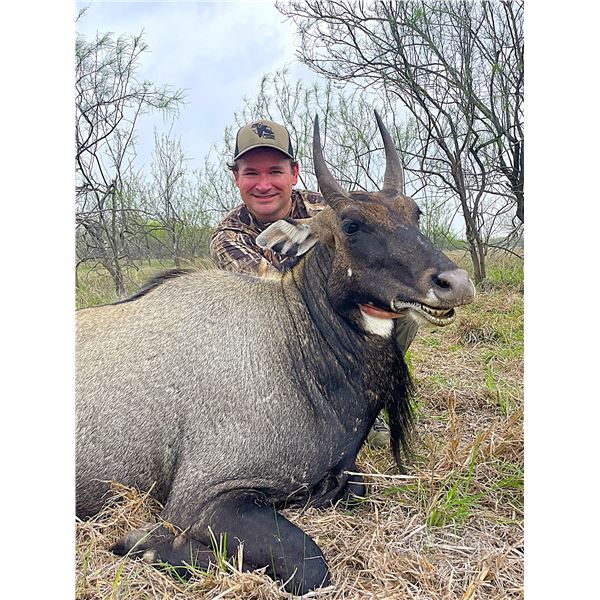 EAST FOUNDATION & WILDLIFE SYSTEMS, INC.: Trophy Nilgai Bull Hunt on the El Sauz Ranch for One Hunte