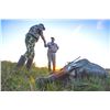 Image 3 : EAST FOUNDATION & WILDLIFE SYSTEMS, INC.: Trophy Nilgai Bull Hunt on the El Sauz Ranch for One Hunte