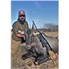 Image 5 : EAST FOUNDATION & WILDLIFE SYSTEMS, INC.: Trophy Nilgai Bull Hunt on the El Sauz Ranch for One Hunte