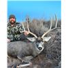 Image 2 : JWP OUTDOORS: Trophy Mule Deer Hunt in the Texas Panhandle