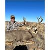 Image 3 : JWP OUTDOORS: Trophy Mule Deer Hunt in the Texas Panhandle