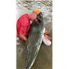 Image 2 : GERHART OUTDOORS: Full-Day Alligator Gar Fishing Trip for Three Anglers in Texas