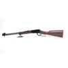 Image 2 : HOFFPAUIR: Engraved Henry Model H001 .22 Rifle