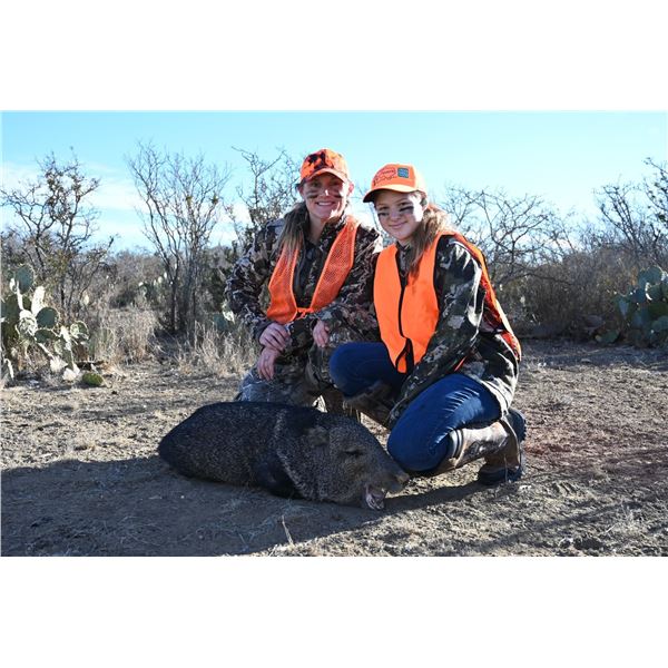 PALOMA RANCH: Boone & Crockett Javelina Hunt for Four Hunters