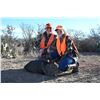 Image 1 : PALOMA RANCH: Boone & Crockett Javelina Hunt for Four Hunters