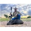 Image 2 : PALOMA RANCH: Boone & Crockett Javelina Hunt for Four Hunters