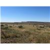 Image 9 : EL CIELO RANCH: West Texas Blue Quail Hunt for Four Hunters