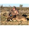 Image 1 : COMANCHE RANCH: 160-Class Free-Range Whitetail Hunt for One Hunter in South Texas