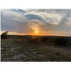 Image 3 : SPRING CREEK RANCH: Private Hill Country Dinner & Skeet Shooting Experience for Eight Guests