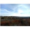 Image 4 : SPRING CREEK RANCH: Private Hill Country Dinner & Skeet Shooting Experience for Eight Guests
