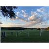 Image 7 : SPRING CREEK RANCH: Private Hill Country Dinner & Skeet Shooting Experience for Eight Guests