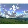Image 8 : SPRING CREEK RANCH: Private Hill Country Dinner & Skeet Shooting Experience for Eight Guests