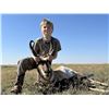Image 1 : TAYLOR PROPERTIES: Texas Panhandle Pronghorn Hunt for Two Hunters