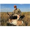 Image 3 : TAYLOR PROPERTIES: Texas Panhandle Pronghorn Hunt for Two Hunters