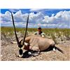 Image 2 : AHRENS RANCH & WILDLIFE, LLC: All-Inclusive Gemsbok Hunt for One Hunter Near Marathon, TX