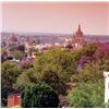 Image 9 : CASA CARIÑO: Luxury San Miguel de Allende Escape for Fourteen Guests