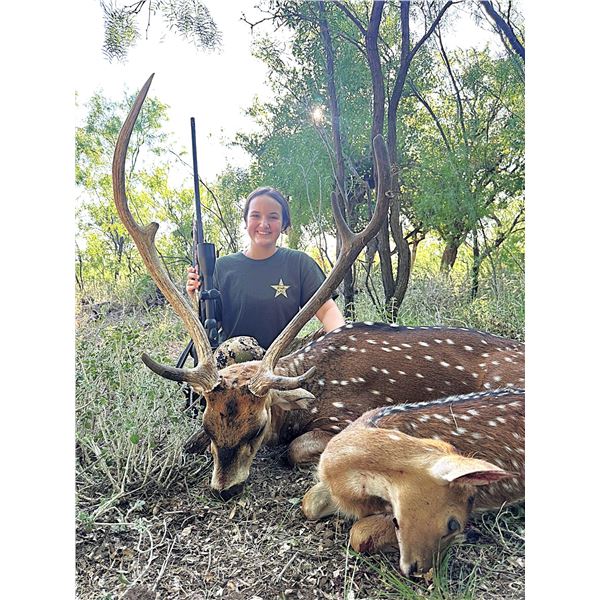 CURRY FAMILY CLARK RANCH: Trophy Axis Hunt on the Concho River for Two