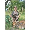 Image 3 : CURRY FAMILY CLARK RANCH: Trophy Axis Hunt on the Concho River for Two