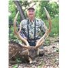 Image 4 : CURRY FAMILY CLARK RANCH: Trophy Axis Hunt on the Concho River for Two