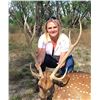 Image 5 : CURRY FAMILY CLARK RANCH: Trophy Axis Hunt on the Concho River for Two