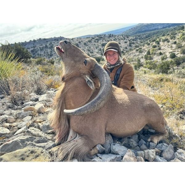 MONARCH RANCH EAST: Devils River Aoudad Hunt for One Hunter