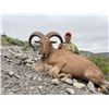 Image 5 : MONARCH RANCH EAST: Devils River Aoudad Hunt for One Hunter