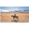 Image 6 : CIBOLO CREEK RANCH: Exclusive West Texas Ranch Escape for Two Couples