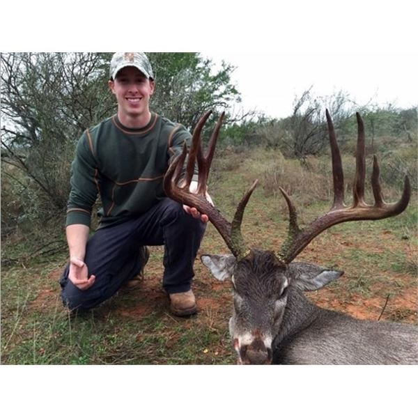 PETTY RANCH: Rancho Paisano Trophy South Texas Whitetail Hunt
