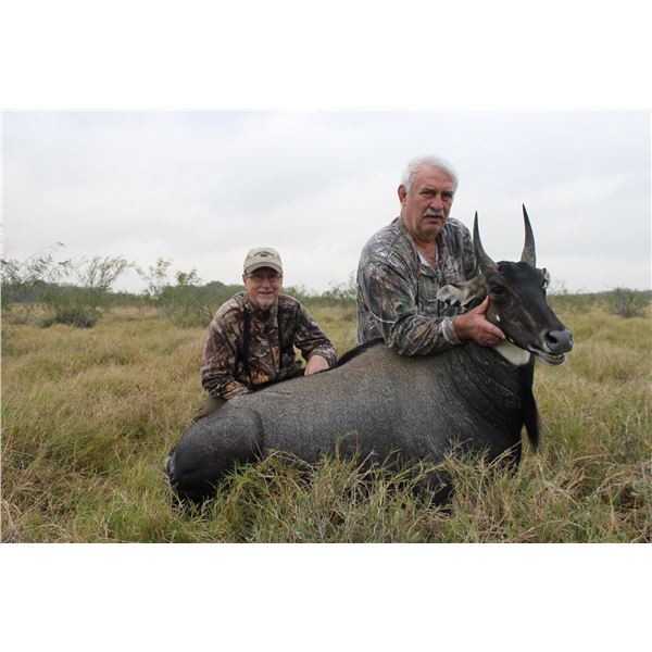 KING RANCH: Nilgai Hunt or Hunt & Fishing Combo for Two Hunters