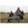 Image 1 : KING RANCH: Nilgai Hunt or Hunt & Fishing Combo for Two Hunters