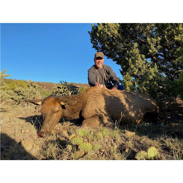 CARTER'S RANCHES: Cotton Mesa Colorado Cow Elk Hunt for One Hunter