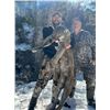 Image 1 : TRAVIS KRUCKENBERG OUTFITTING: Fully Guided Mountain Lion Hunt