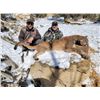 Image 3 : TRAVIS KRUCKENBERG OUTFITTING: Fully Guided Mountain Lion Hunt