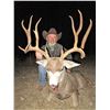 Image 3 : A.S. GAGE RANCH: West Texas Trophy Mule Deer Hunt for One Hunter