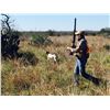Image 1 : JONES RANCH: South Texas Wild Bobwhite Quail Hunt for Five Shooters