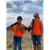 Image 2 : JONES RANCH: South Texas Wild Bobwhite Quail Hunt for Five Shooters