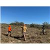 Image 3 : JONES RANCH: South Texas Wild Bobwhite Quail Hunt for Five Shooters