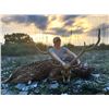 Image 2 : INDIANHEAD RANCH: West Texas Hunter's Choice Axis or Blackbuck Hunt