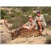 Image 6 : INDIANHEAD RANCH: West Texas Hunter's Choice Axis or Blackbuck Hunt