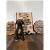 Image 2 : 'TIL DAWN HOG DOGS & O CROSS RANCH: Blue Lacy Puppy