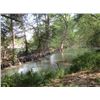 Image 1 : REX & MICHELE WEBB: 3-Night Hill Country Escape at Johnson Creek Cottage