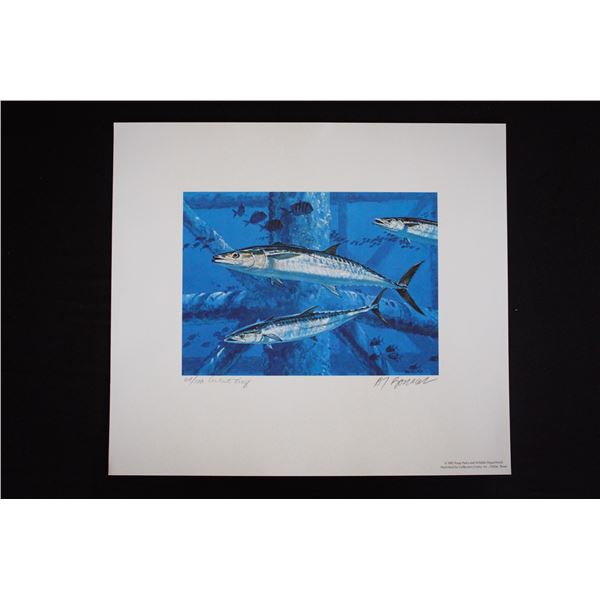 AL BARNES: Signed & Numbered 1993 Texas Saltwater Stamp Print – King Mackerel