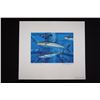 Image 1 : AL BARNES: Signed & Numbered 1993 Texas Saltwater Stamp Print – King Mackerel