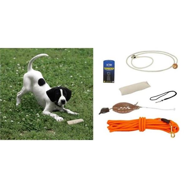 GUN DOG & LENA EARLY: Upland Dog Training Starter Package